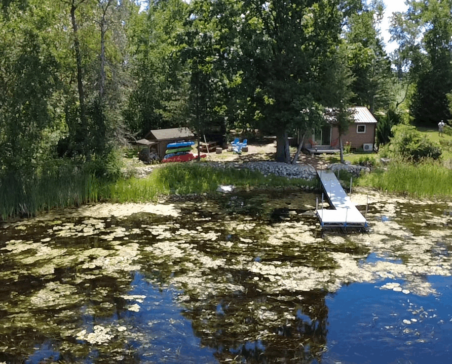 A cozy lakeside cottage nestled along the shoreline, surrounded by peaceful trees